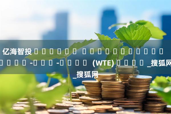 亿海智投 كلبيهن اينسينراتور سيسا-كڤد-تناڬ (WTE) چينا_搜狐网
