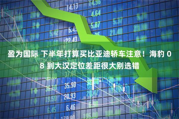 盈为国际 下半年打算买比亚迪轿车注意！海豹 08 到大汉定位差距很大别选错