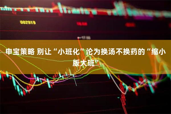 申宝策略 别让“小班化”沦为换汤不换药的“缩小版大班”